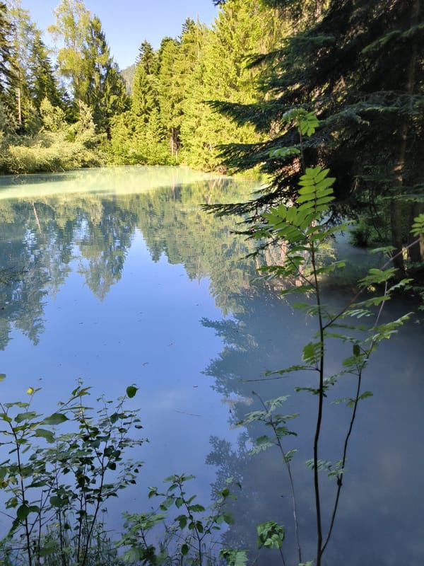 5 randonnées incontournables autour du Bercail